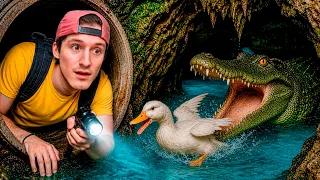 EL COCODRILO SE LLEVÓ A MI PATO A SU CUEVA !!