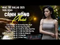 Cánh Hồng Phai - Nhạc Trẻ Ballad Hot Nhất | Playlist Nhạc Trẻ Tâm Trạng Chạm Đến Mọi Cảm Xúc