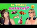 Trans animals you probably don t know about