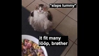 Brother may I have some loops