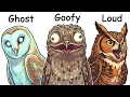 Every Owl Type Explained in 14 Minutes