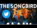 Twitter s Bad I Wrote a Song About it