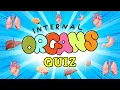 Human Organs Quiz for Kids Internal Organs of the Human Body and Their Functions