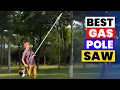 The 6 Best Gas Pole Saws 2026 - Top Picks for Power Precision Cutting