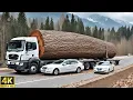 Download Lagu Del Árbol Monumental al Lujo Extremo: El Viaje de Crear una Mesa Más Valiosa que el Oro