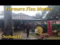 Walking Around Chiefland Farmer FLEA MARKET LOOKING At All The GOOD Items People Have