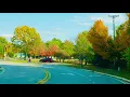 Download Lagu PEMANDANGAN INDAH DI MUSIM GUGUR || DAUN DAUN BERUBAH WARNA