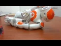 Sumobot Programming Course