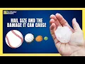 What Forecasted Hail Size Means For Damage During a Storm