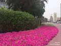 Into the Deep - Citipointe (UAE Buildings)