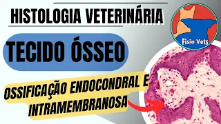 Ossificação Endocondral e Intramembranosa - Histologia veterinária