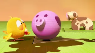 Que animal é esse? | Onde está Chicky? | Pintinho amarelinho | Coleção desenhos animados Infantil