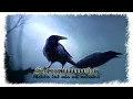Download Lagu Sturmwehr - Wir dachten alle, Du wärst einer von uns