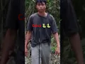#cobra batang manyakis