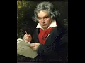 Beethoven - String Quartet op. 130 - Cavatina