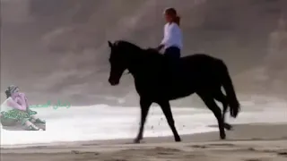 محمد عبده ابي اعرف متى تسكن رياحك دندنها
