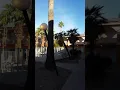 Windsor palms apartments