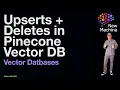 Upserts Deletes in Pinecone Vector DB