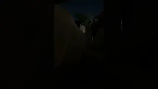 معلايه   الفيل وش بسوي دندنها