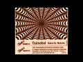 Download Lagu Tajmahal - Galactic Nebula mix (1997 Chaos Unlimited, Goa trance)