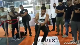                    دندنها