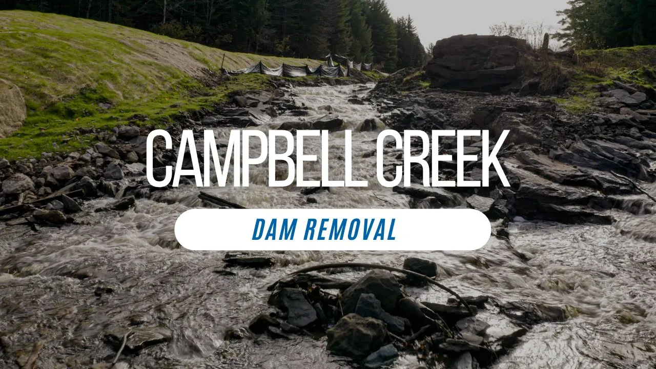 Campbell Creek Dam Removal