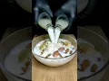 Download Lagu Banana With Dry Fruits Healthy Milkshake ASMR #shorts