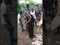 Lagu Onyebuchi alusiegwu Igbo niile live on stage at iyiokwa Shrine Ifite Nteje 