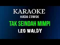 Download Lagu TAK SEINDAH MIMPI - LEO WALDY ( KARAOKE DANGDUT LAWAS NADA COWOK + FULL LIRIK )