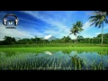 Download Lagu Mapay Jalan Satapak - Remix