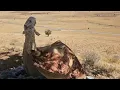 Download Lagu Goli Khanum and Her Children Suffer Homelessness in the Mountains