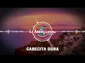 La Arrolladora Banda El Limón De René Camacho - Cabecita Dura (Visualizer)