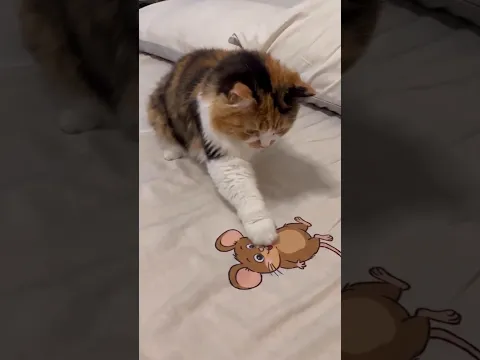 She Definitely Doesn't Like Jerry 😂