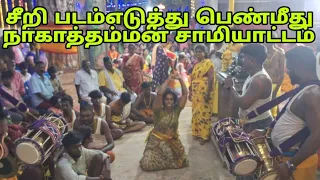  nagaraj pambai brand folk music