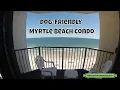 Dog-Friendly Myrtle Beach Vacations Myrtle Beach Dog-Friendly Beach Condo Review
