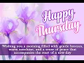 Thursday Blooms and Cheerful Thoughts A Lovely Morning Greeting