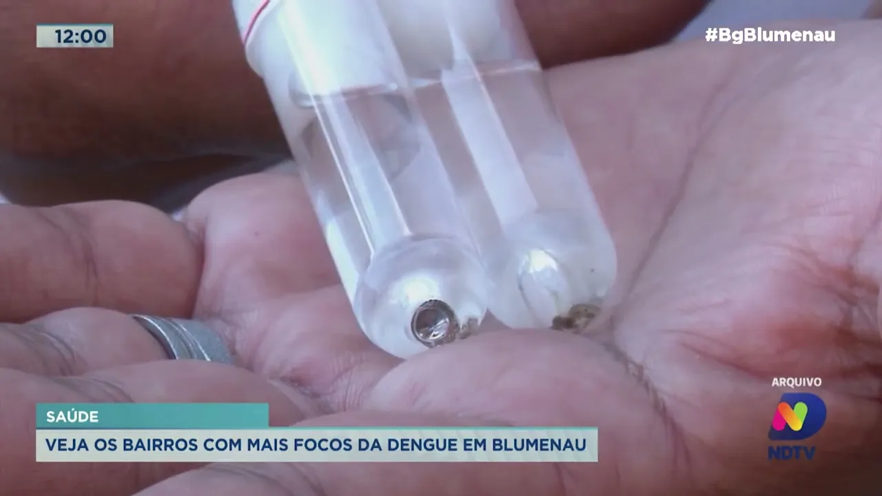 Prefeitura divulga números atualizados da dengue em Blumenau