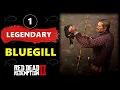 Legendary Fish 01 - Bluegill Easiest Way in RDR2 4K 60FPS