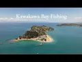 Lagu kawakawa bay fishing