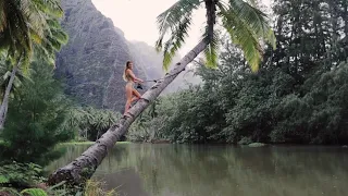 SAILING DIARIES: Palm fiction