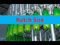 Batch Size