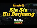 Download Lagu Sia Sia Ku Berjuang Karaoke Dj Remix By Masde Project Male Keys
