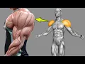 Lagu 11 Exercises to Get Huge Shoulder in Record Time