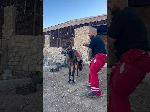 تتوقعون انجح اني اكون عامل مزرعه
