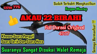 sp akau 22 birahi original by csw776 swallow sound has been proven to respond in all areas
