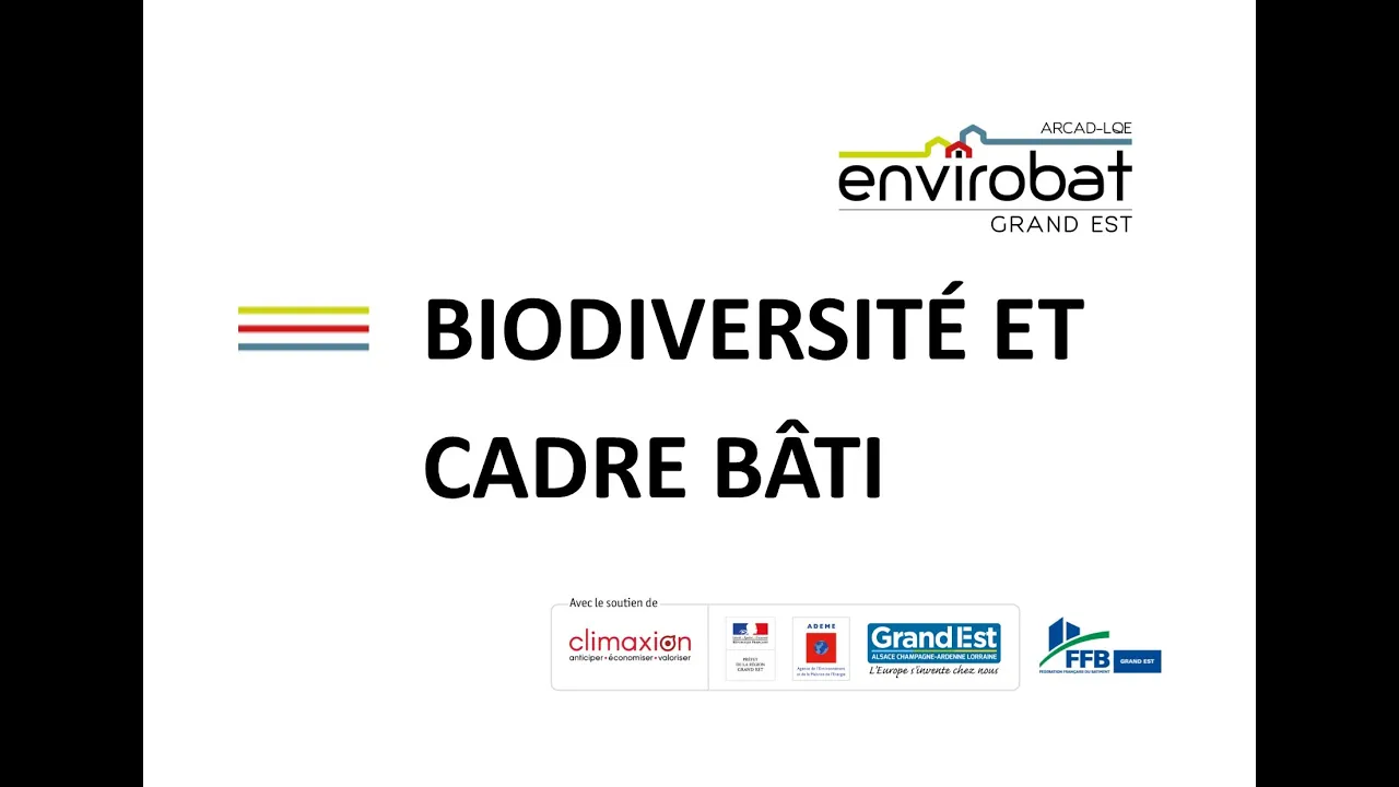 Biodiversité et cadre bâti
