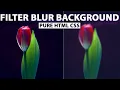 Blur background by html css - Filter Blur CSS blur Background
