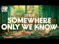 Download Lagu Lily Allen ~ Somewhere Only We Know (Lyrics)