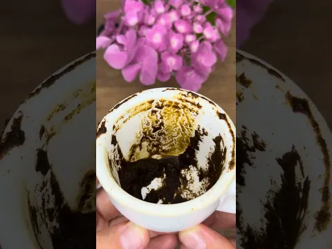 👑 Твой главный триумф уже написан судьбой — Margo PRO magic