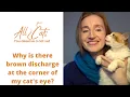 Why is there brown discharge at the corner of my cat s eye